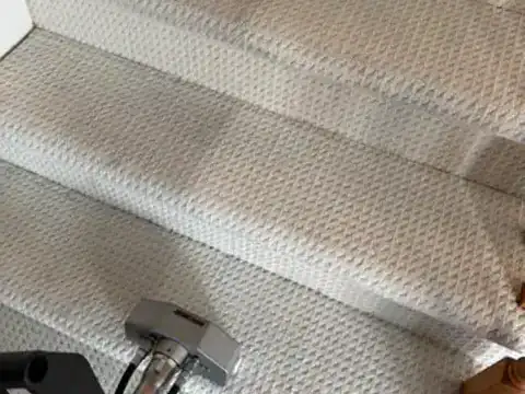 Résultat de nettoyage professionnel de tapis dans une pièce à vivre — Montréal et Rive-Sud, Groupe Avril.