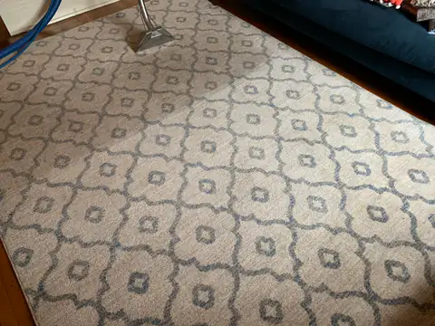 Tapis : nettoyage en profondeur et finition soignée par Groupe Avril à Montréal et en Rive-Sud.