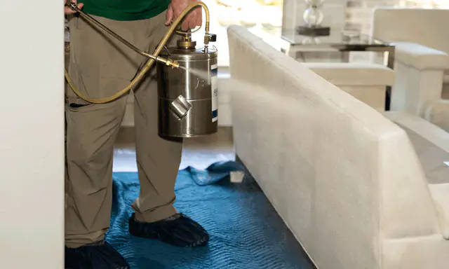 Application professionnelle de protecteur sur tapis et textiles à Montréal et en Rive-Sud — Groupe Avril.